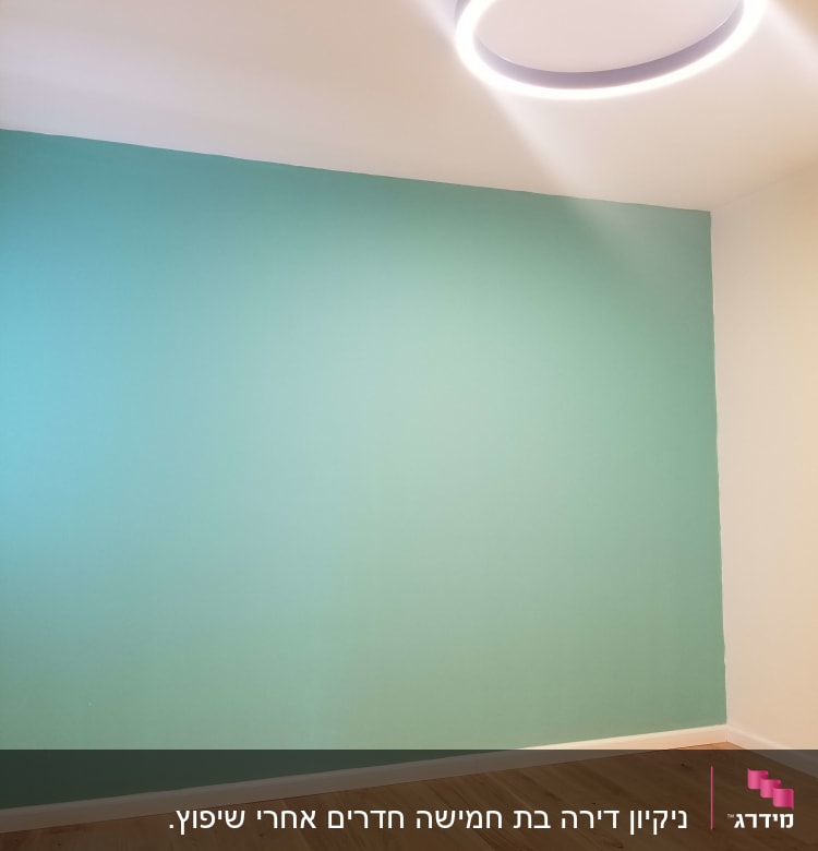חדר ריק עם קיר צבוע ותאורה עגולה